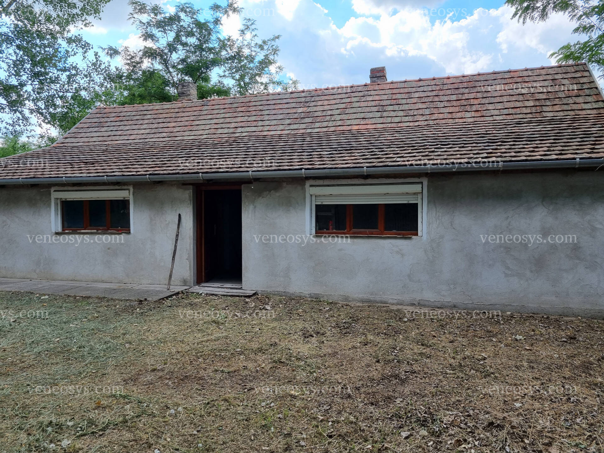 Kép 3