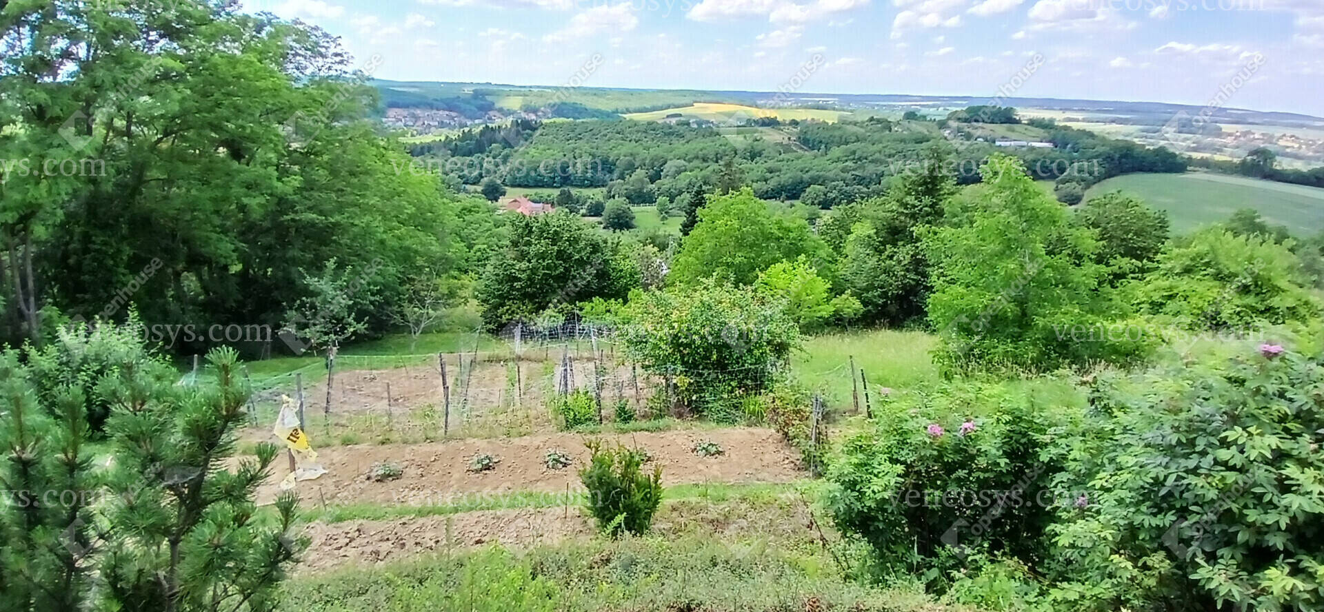 Kép 18