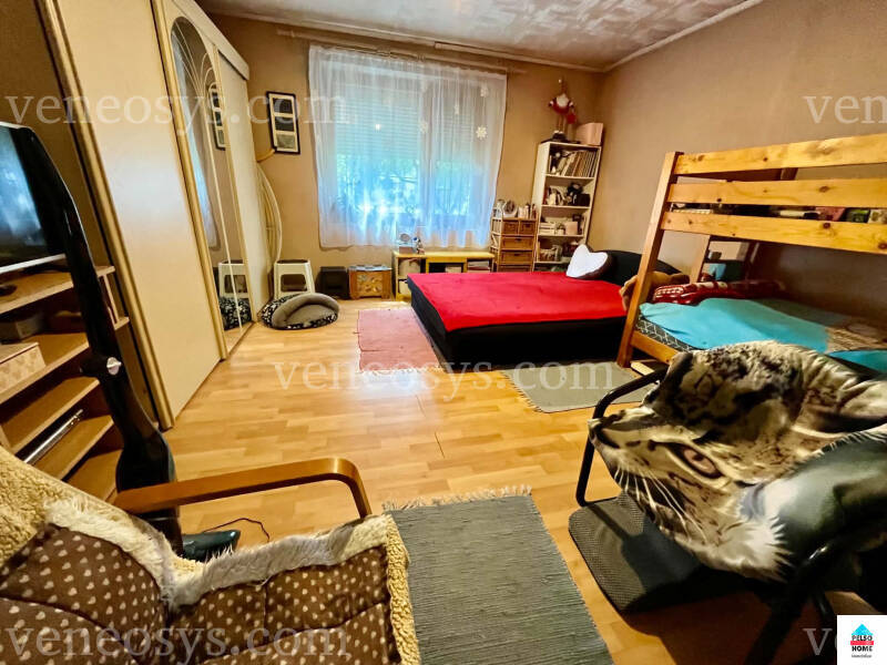 Kép 15