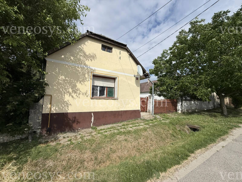 Kép 7