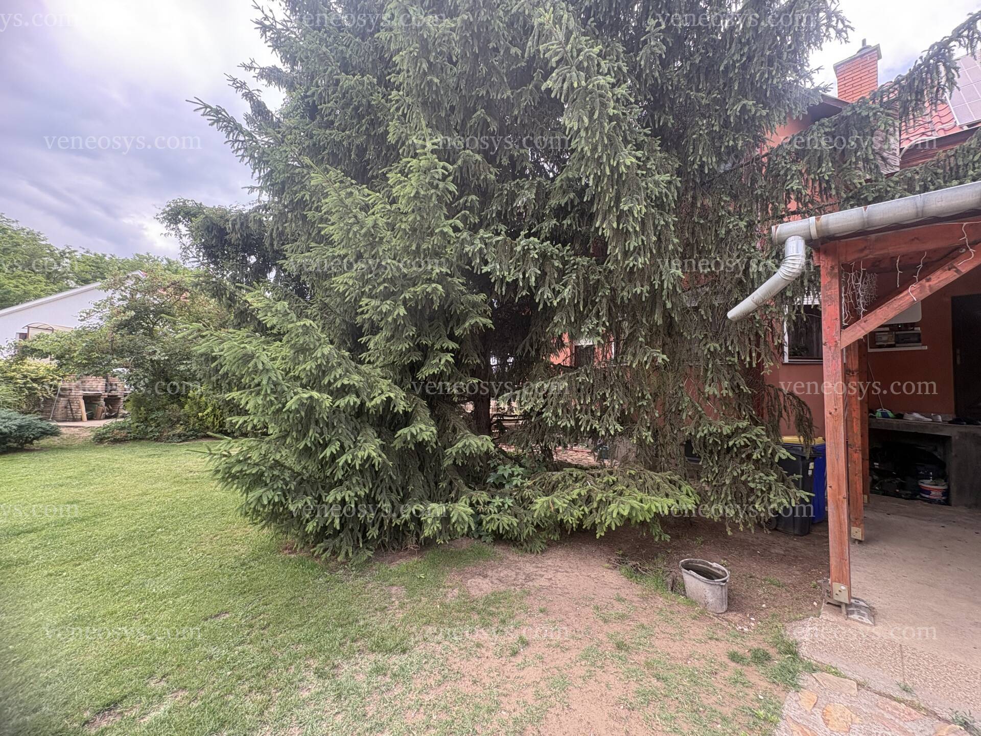 Kép 6