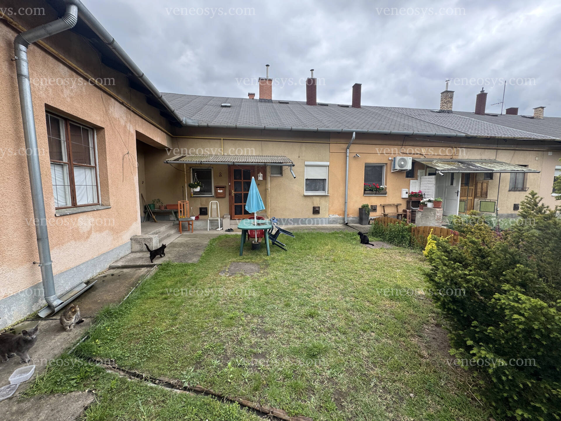 Kép 8