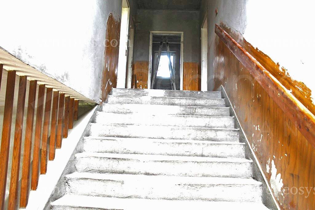 Kép 10