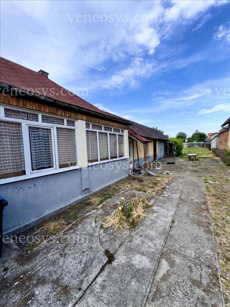 Kép 5