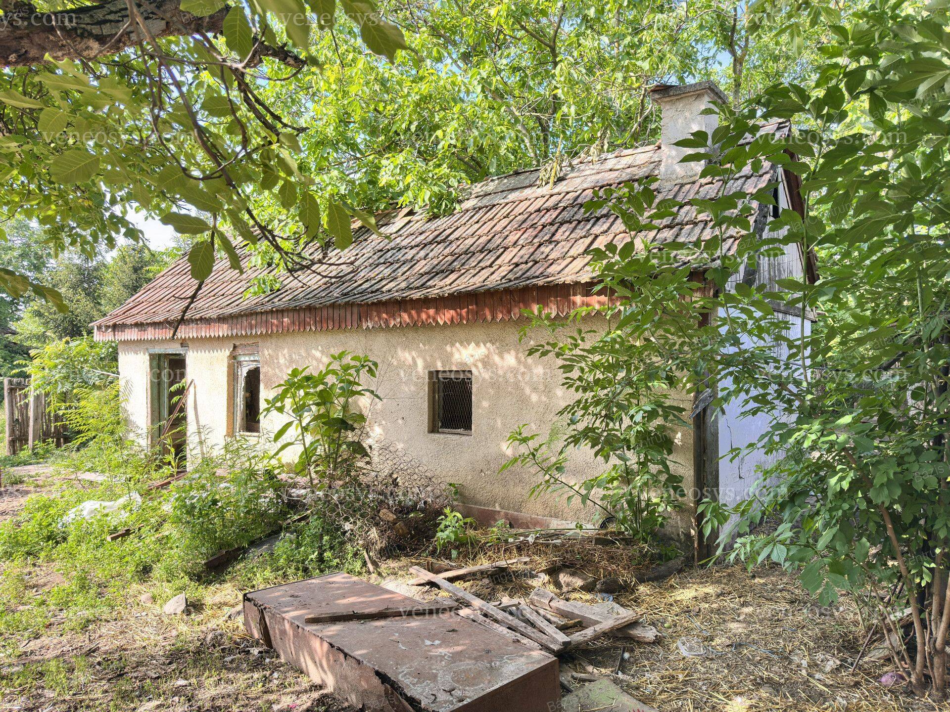 Kép 14