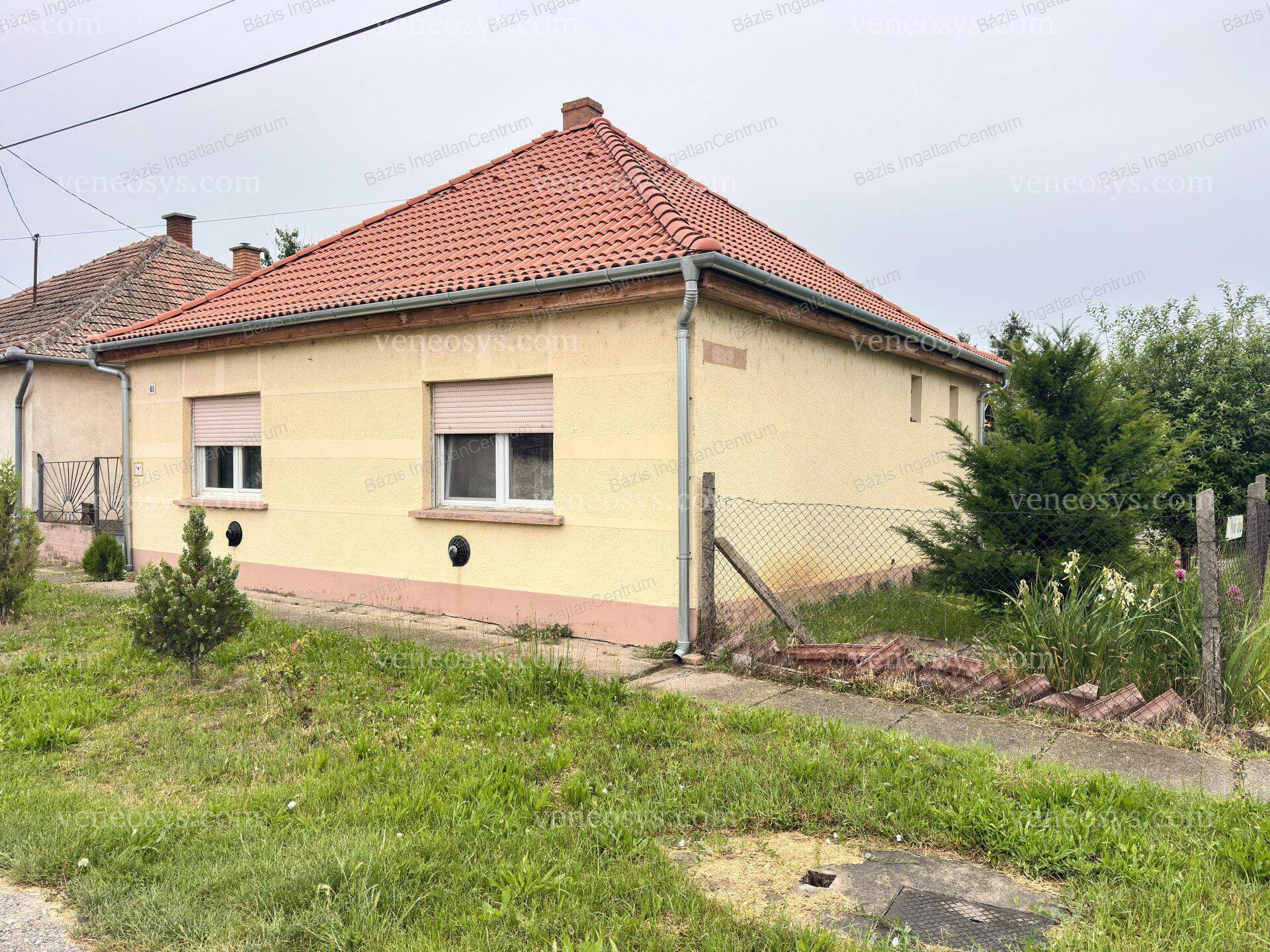 Kép 13