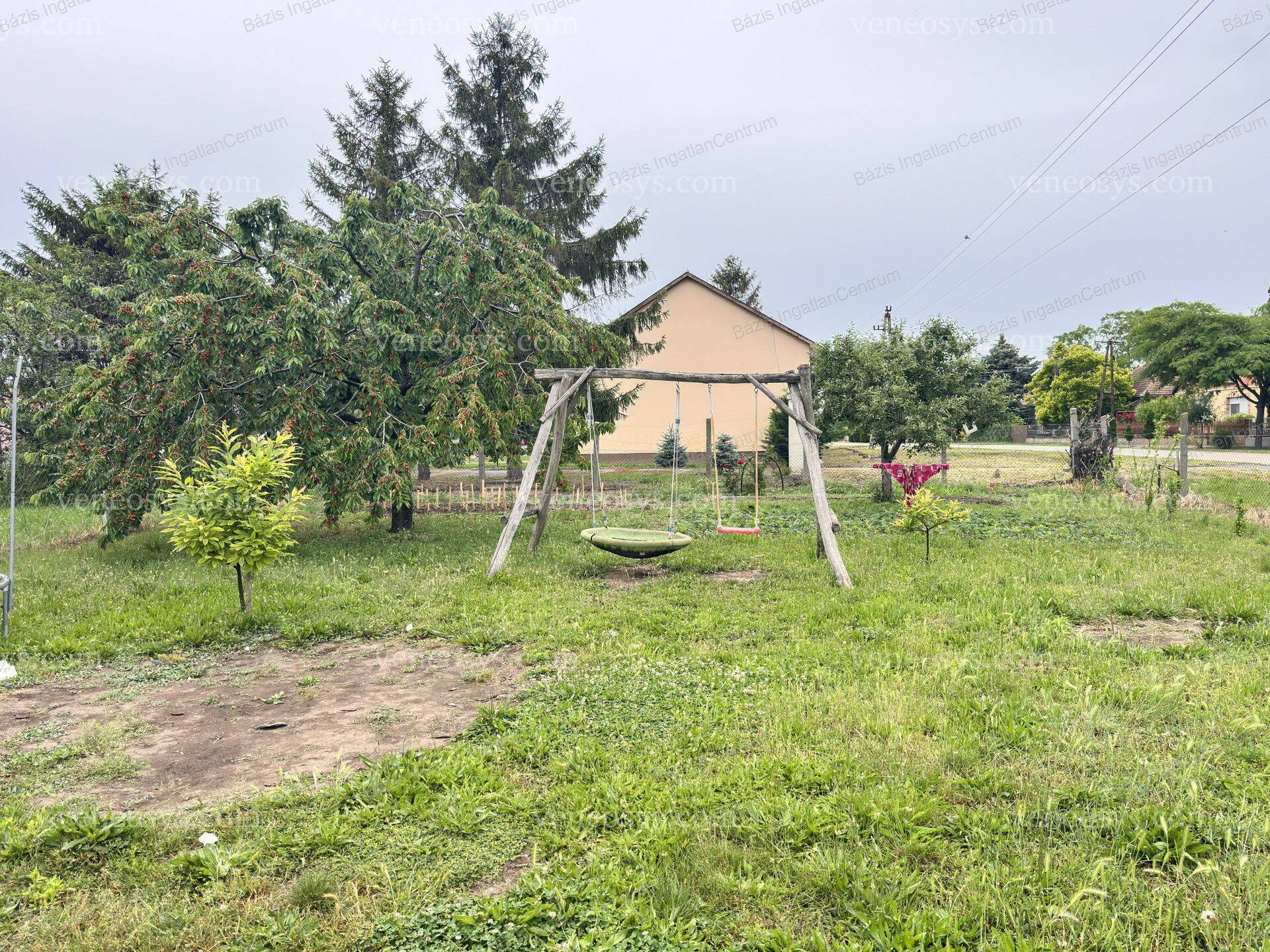 Kép 11