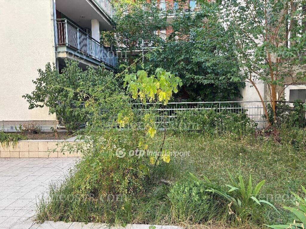 Kép 1