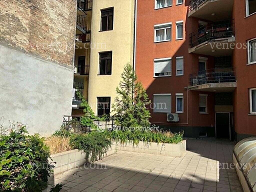 Kép 10