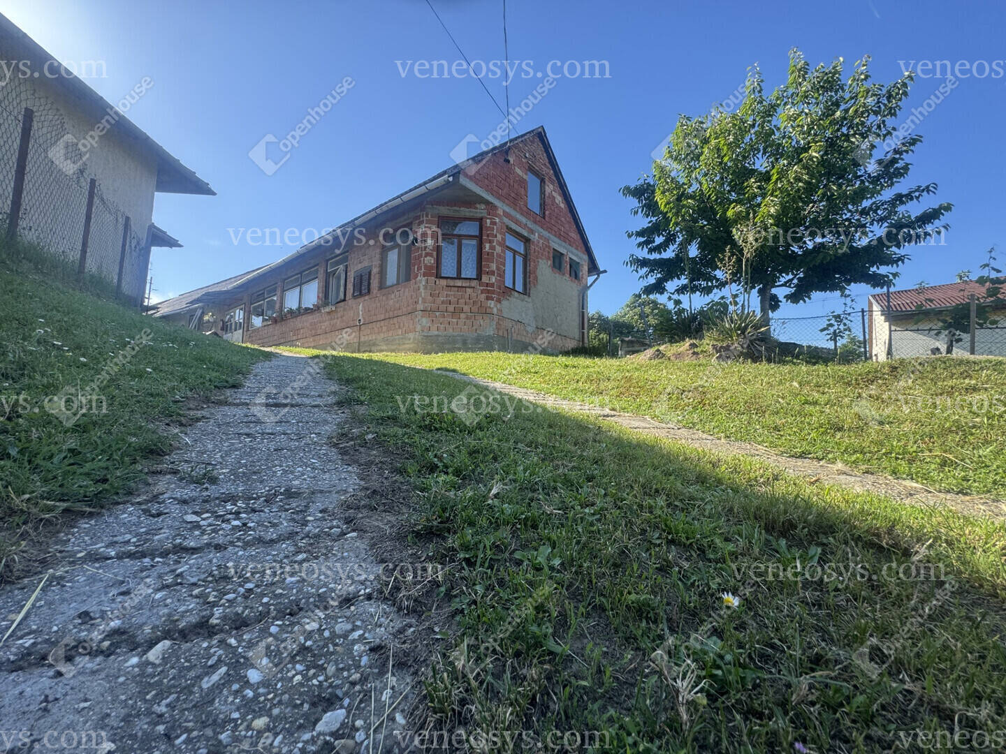 Kép 6