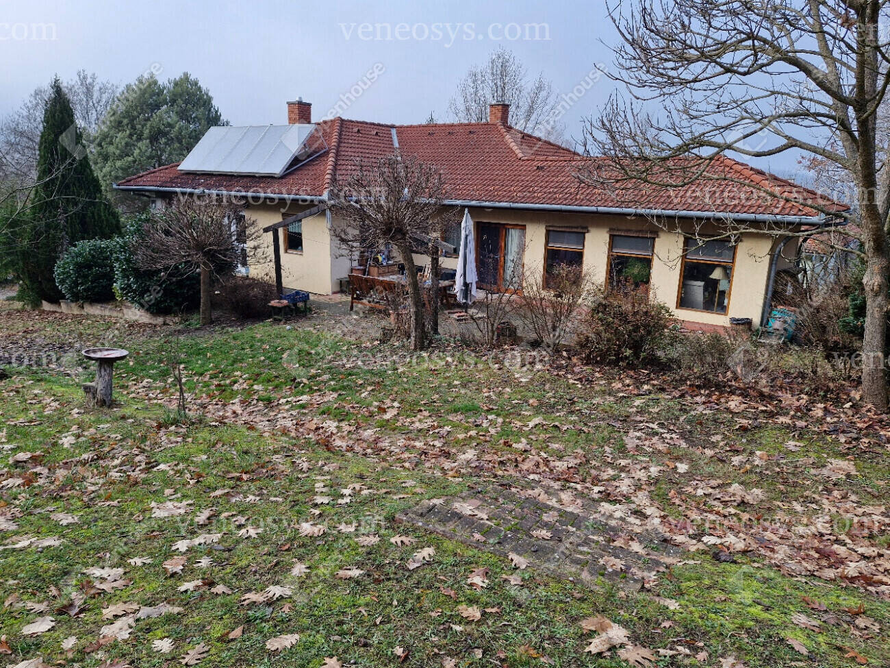 Kép 2