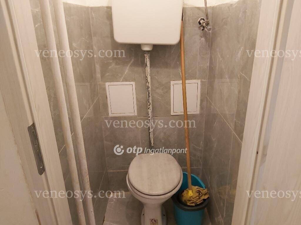 Kép 11