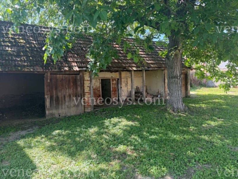 Kép 14