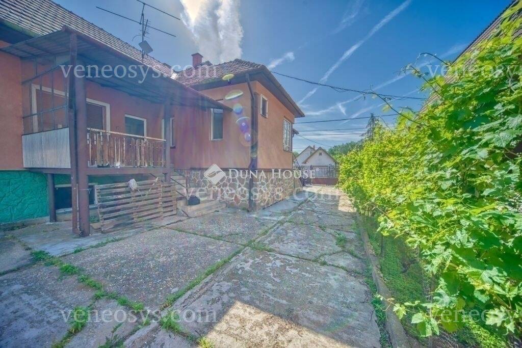 Kép 6