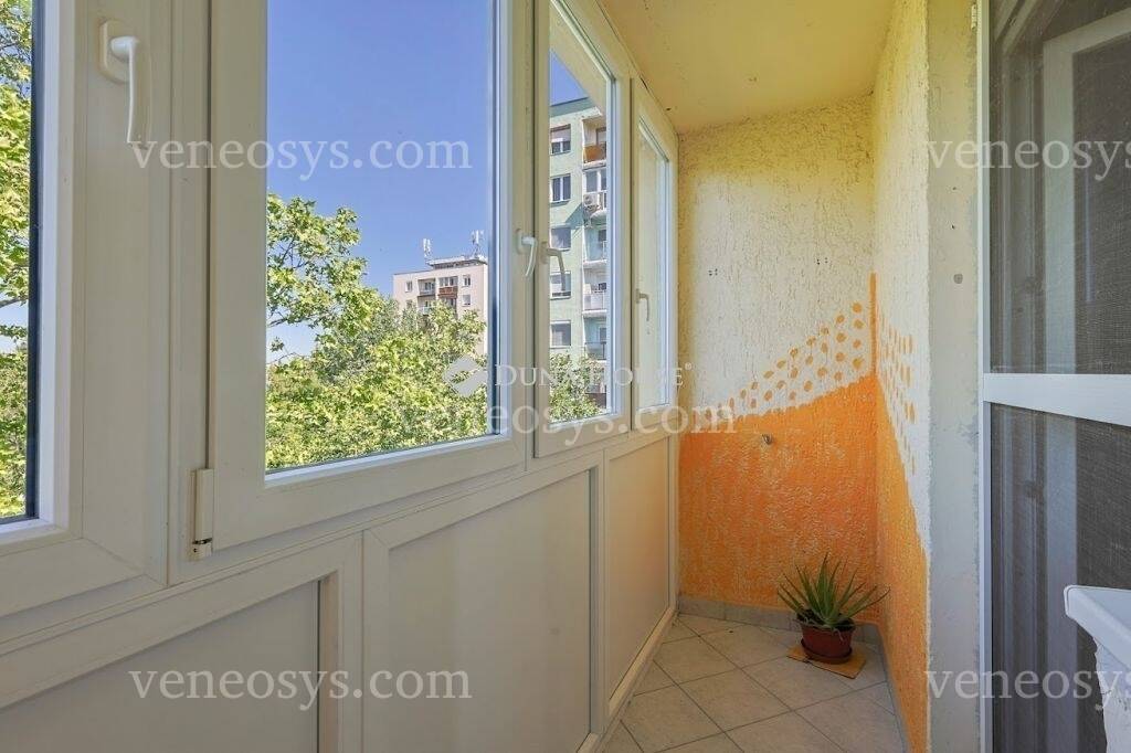 Kép 10