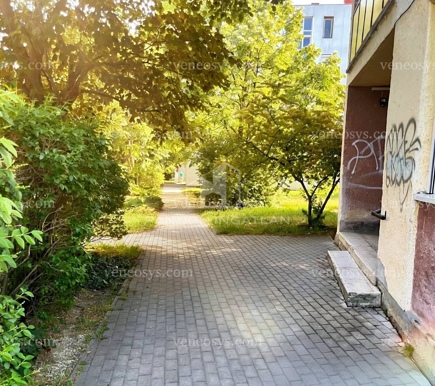 Kép 10