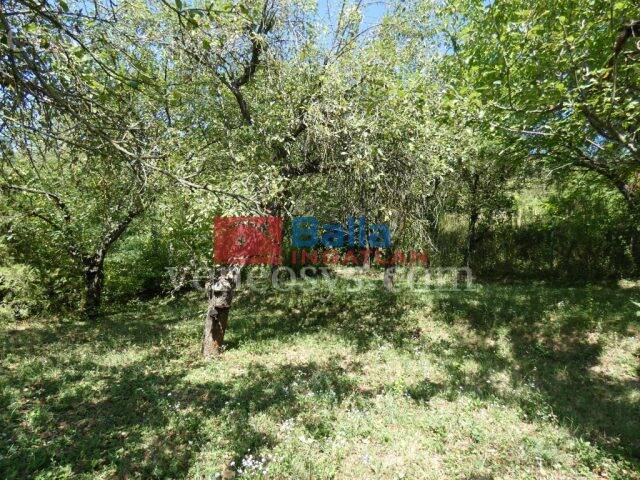 Ingatlan