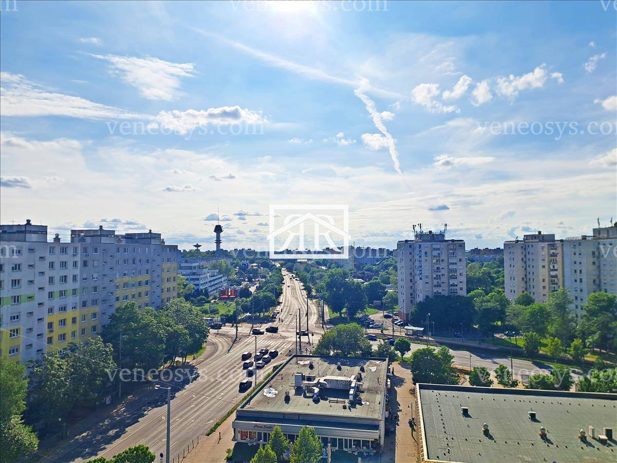 Kép 10