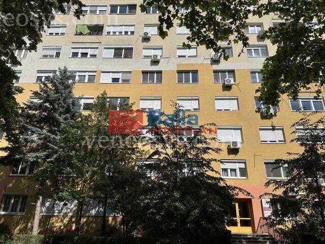 Kép 14