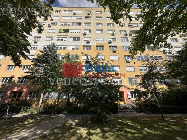 Kép 13