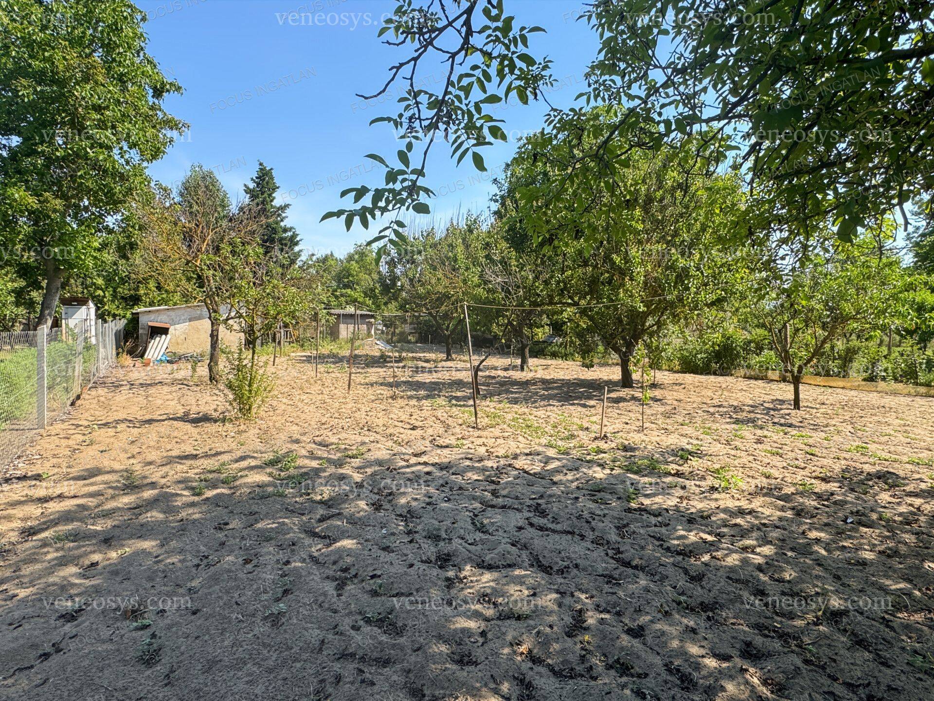 Kép 9