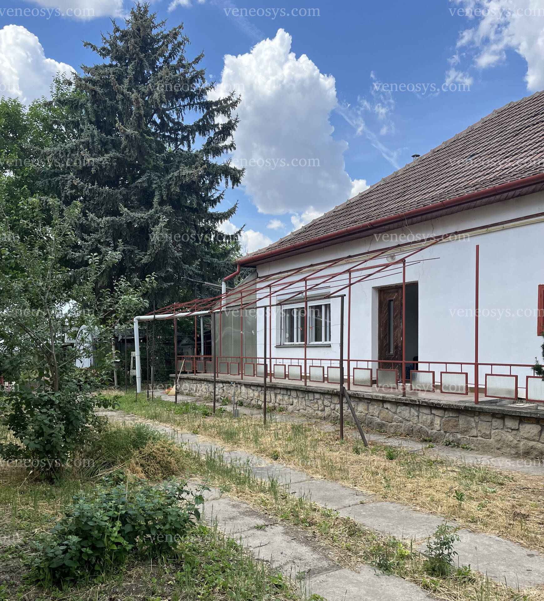 Kép 6