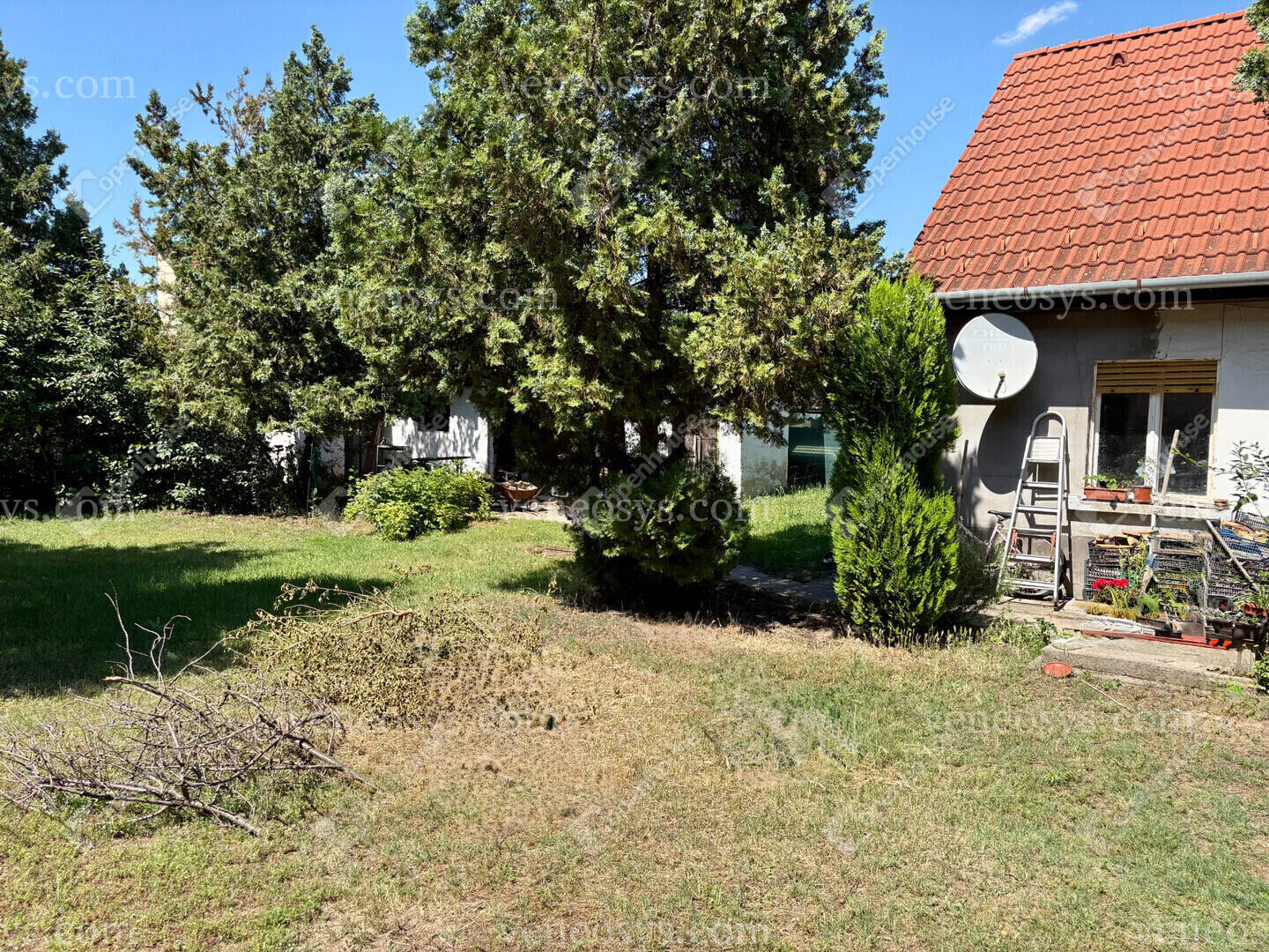 Kép 10