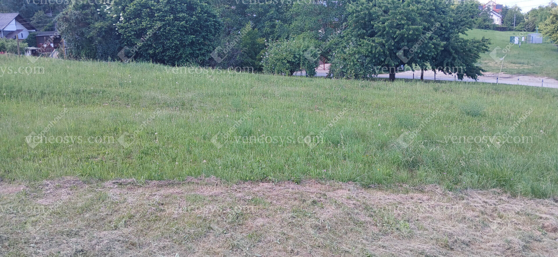 Kép 14