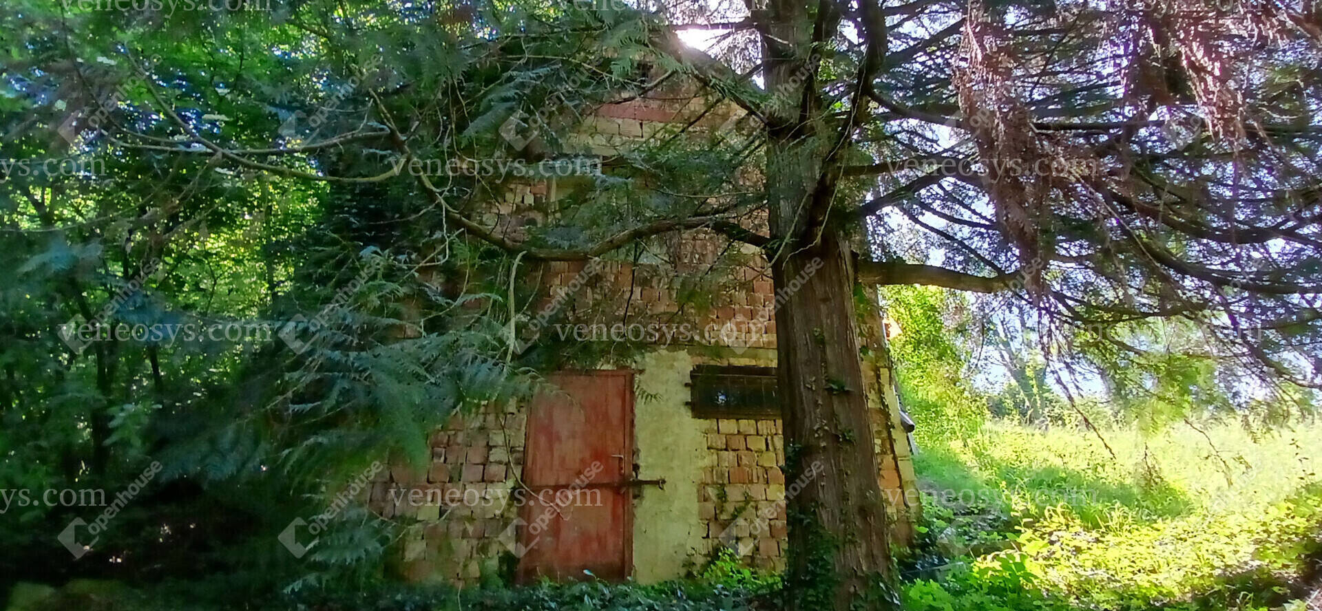 Kép 12