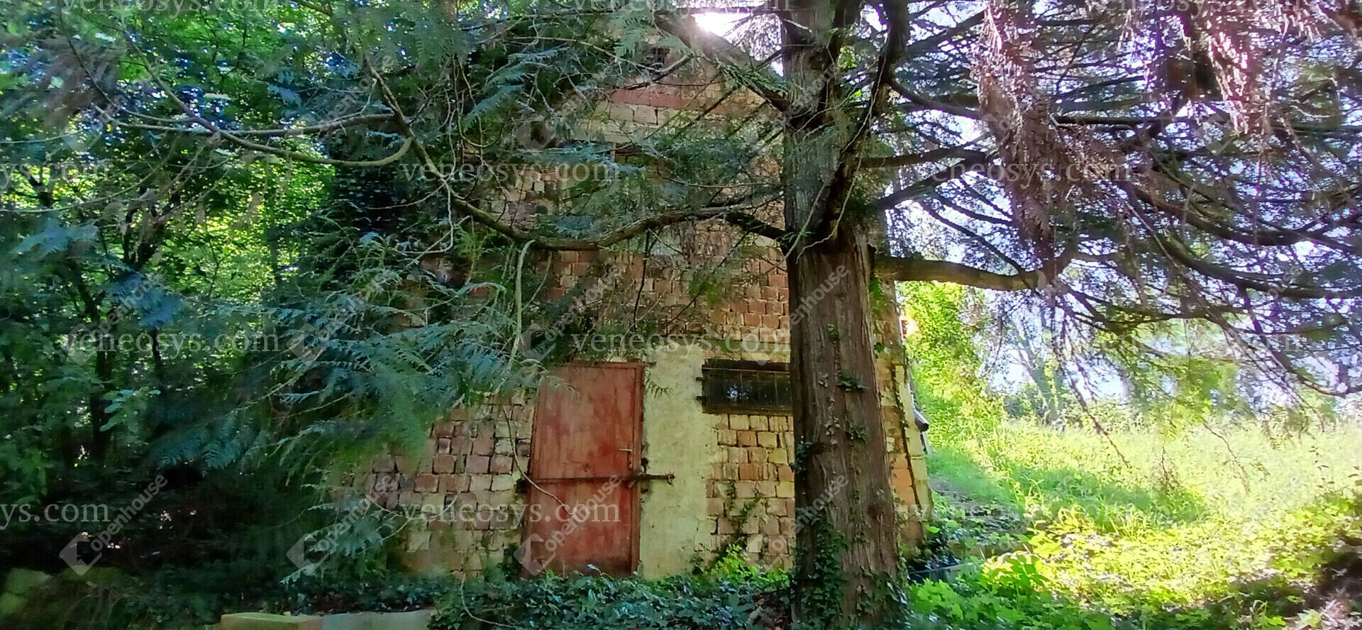 Kép 17