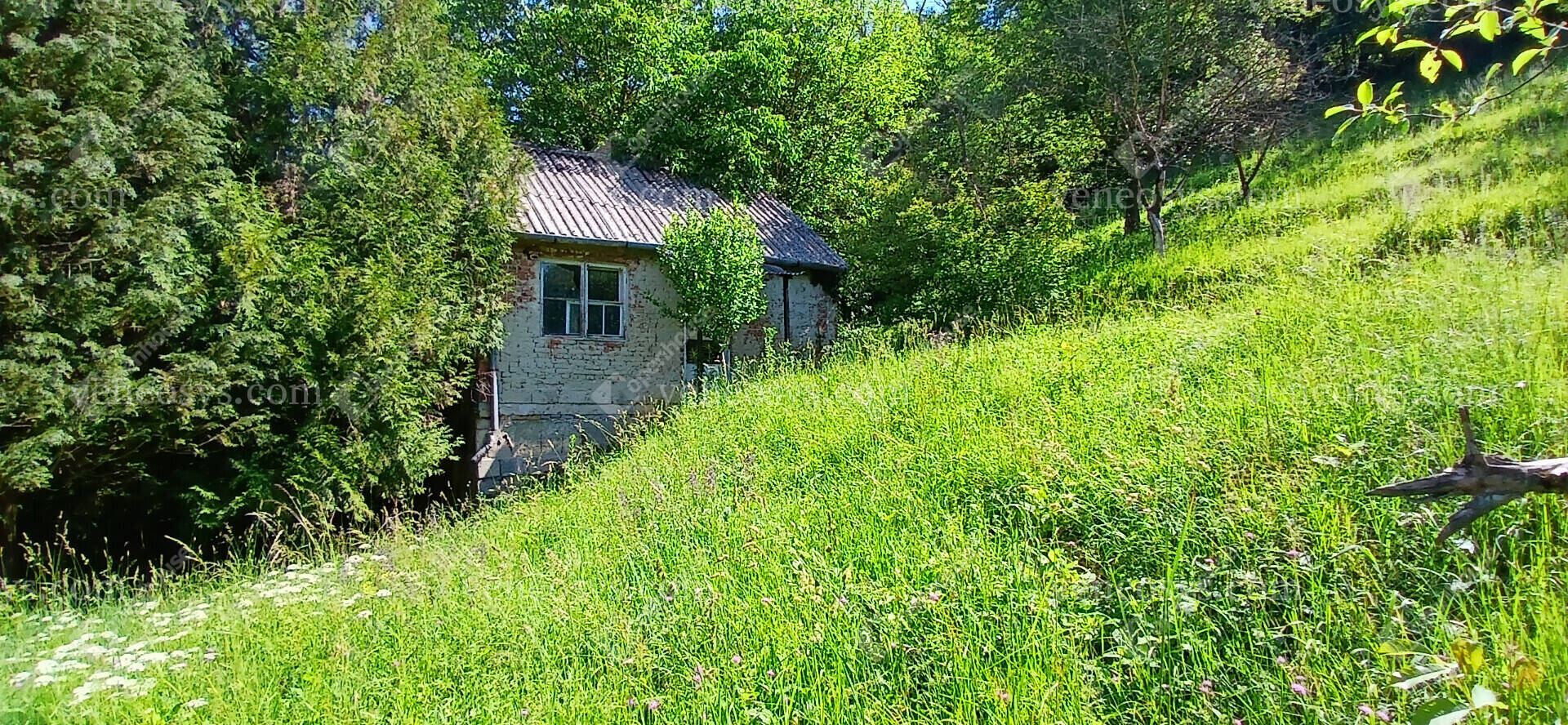 Kép 21