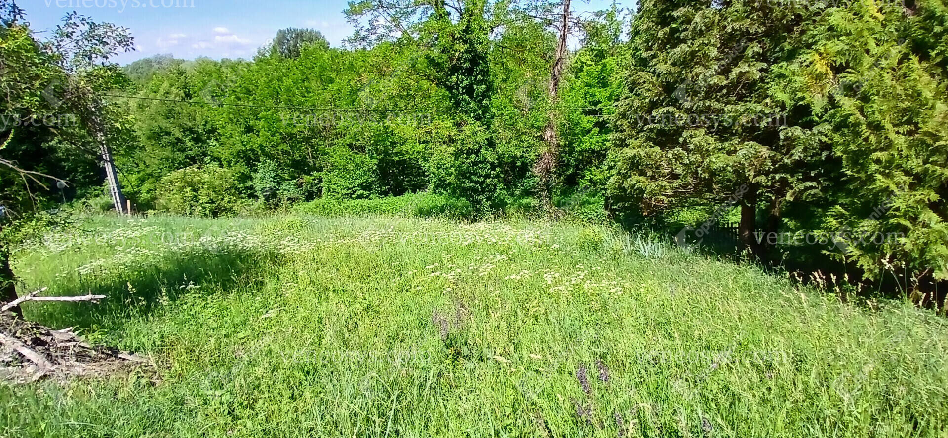 Kép 3