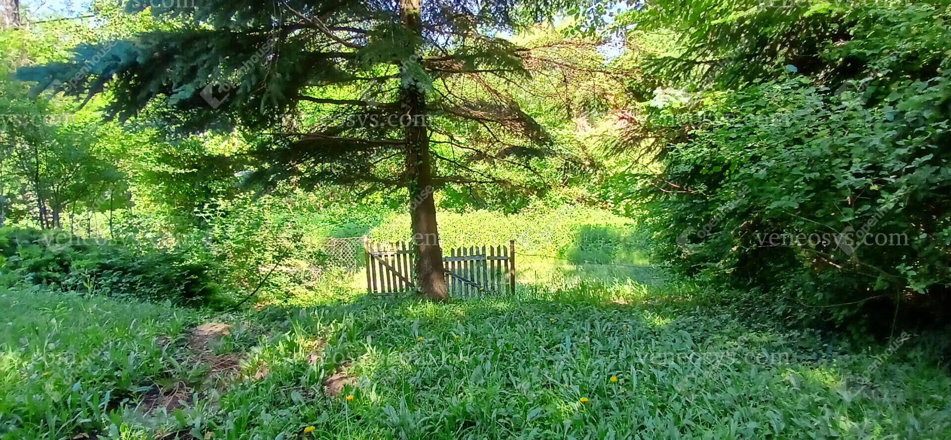 Kép 16