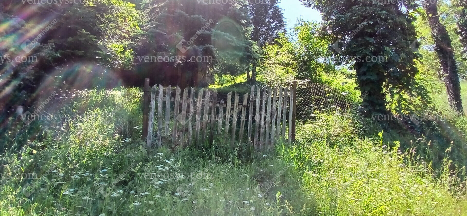 Kép 27