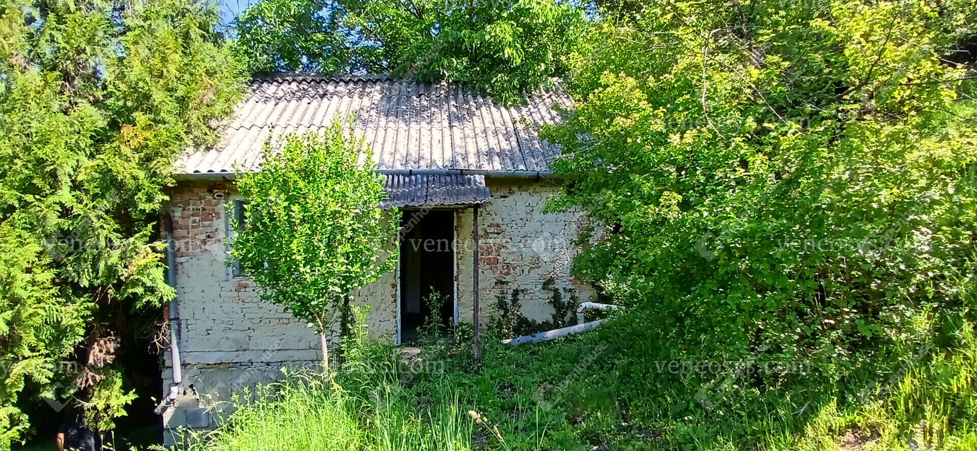 Kép 13