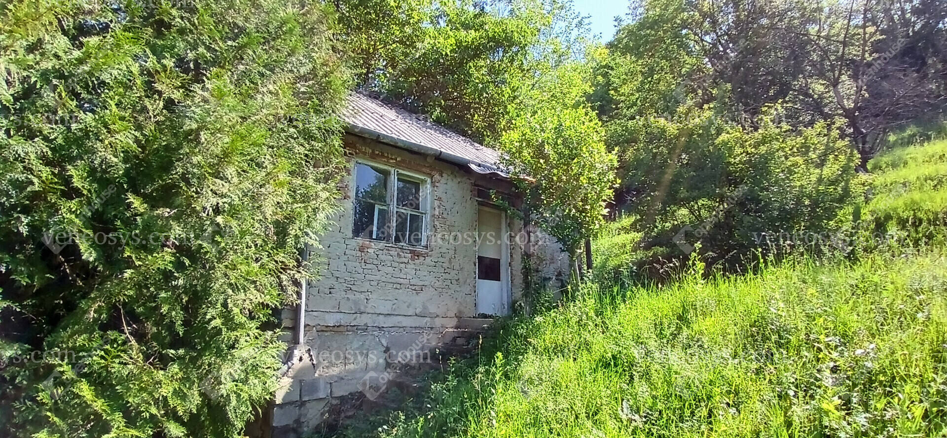 Kép 18