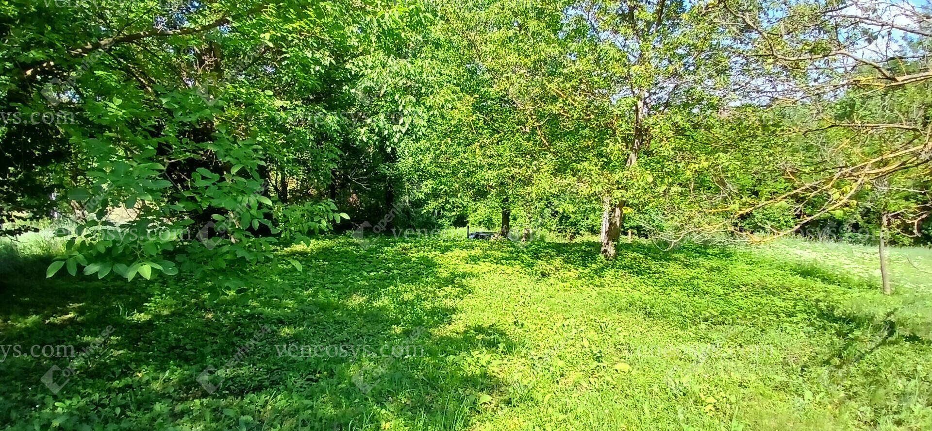 Kép 9