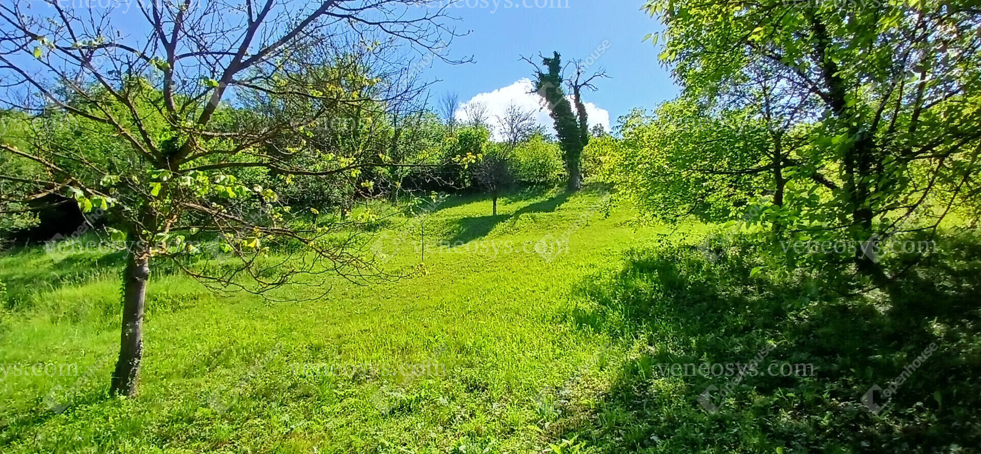 Kép 4