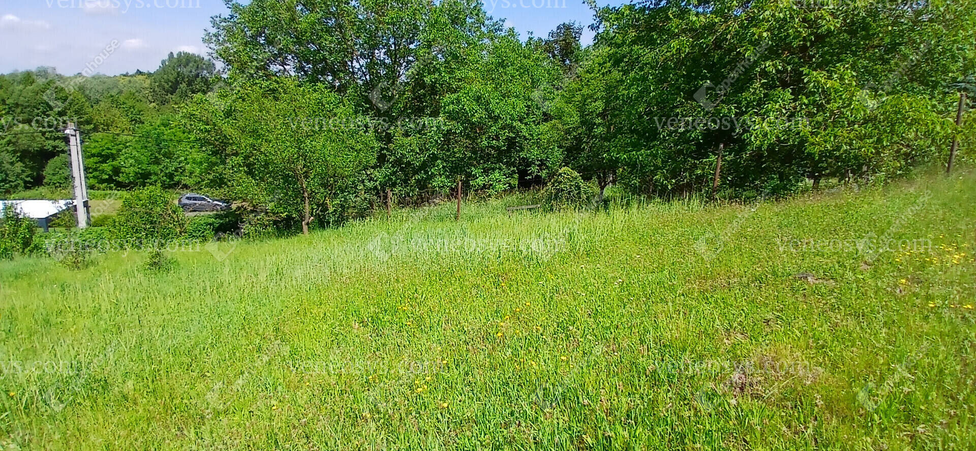 Kép 14