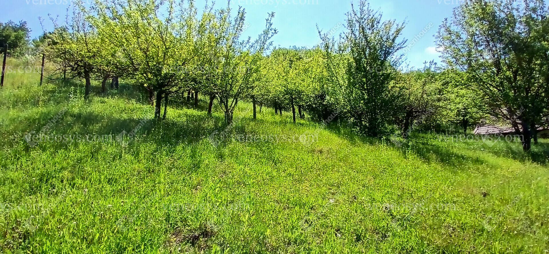 Kép 15