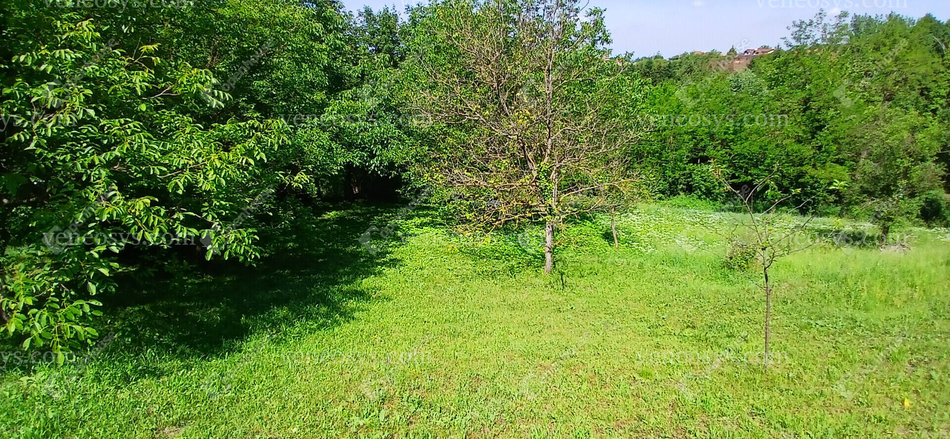 Zalaegerszeg