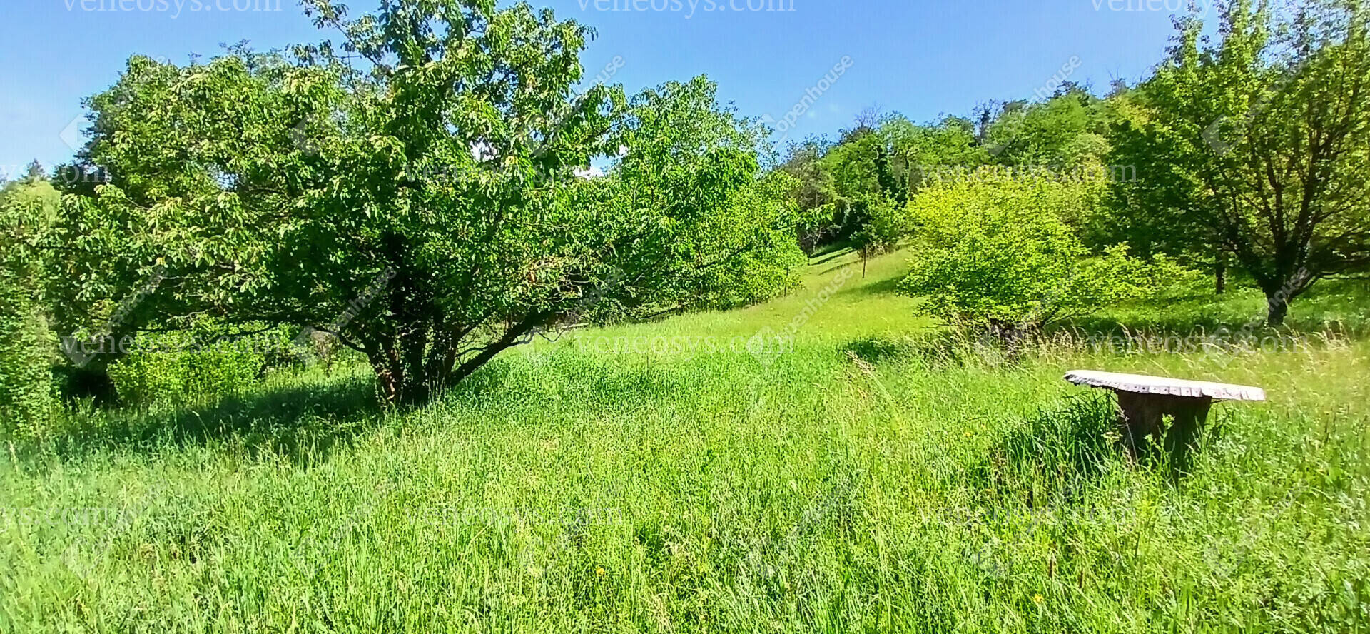 Kép 16