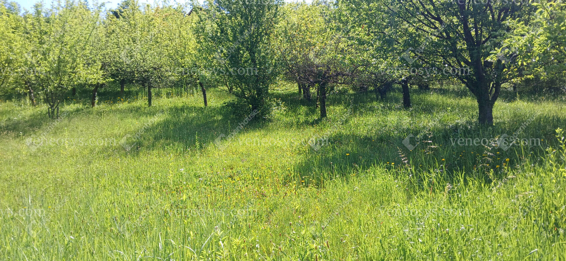Kép 18