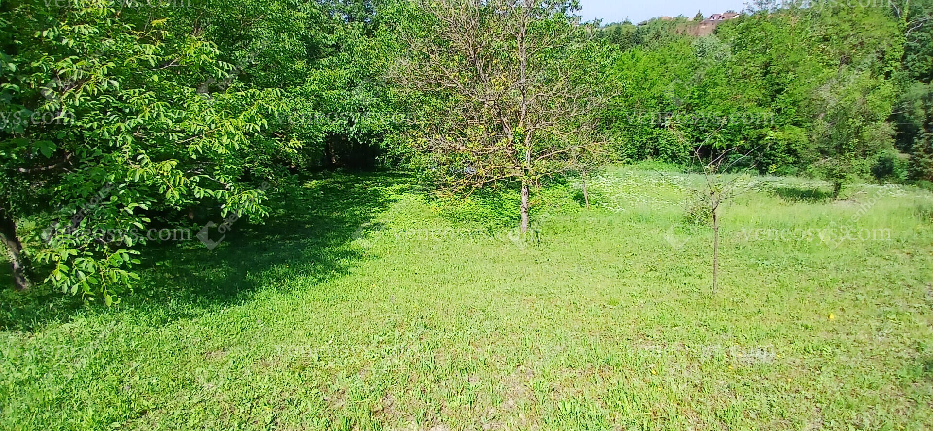 Kép 15