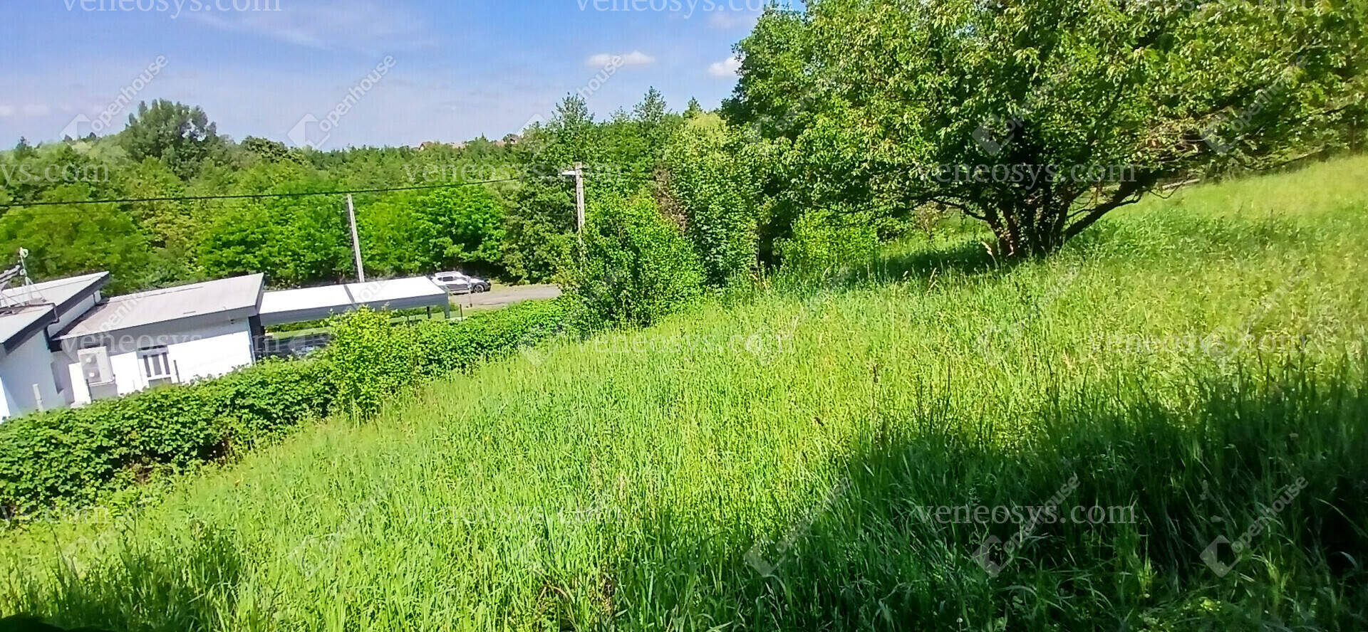 Kép 22