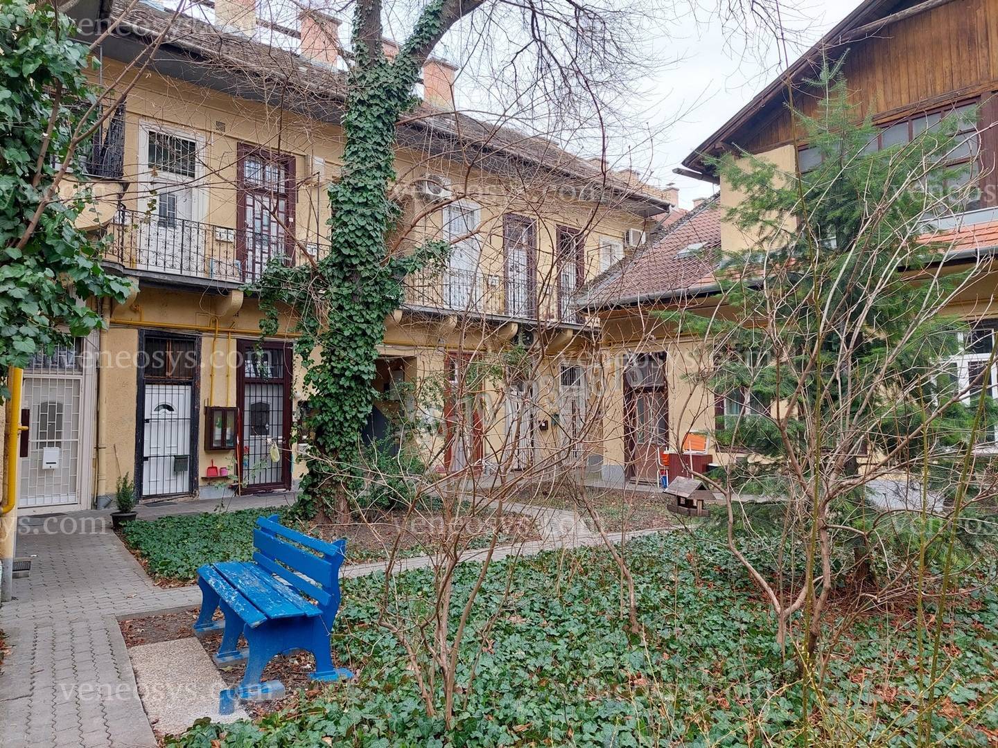 Kép 10
