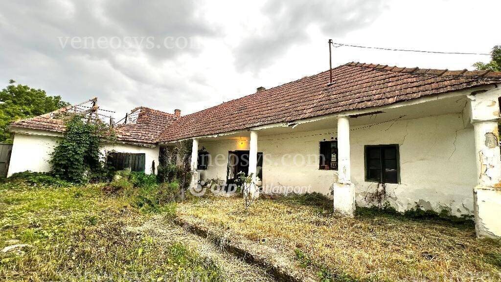 Kép 1