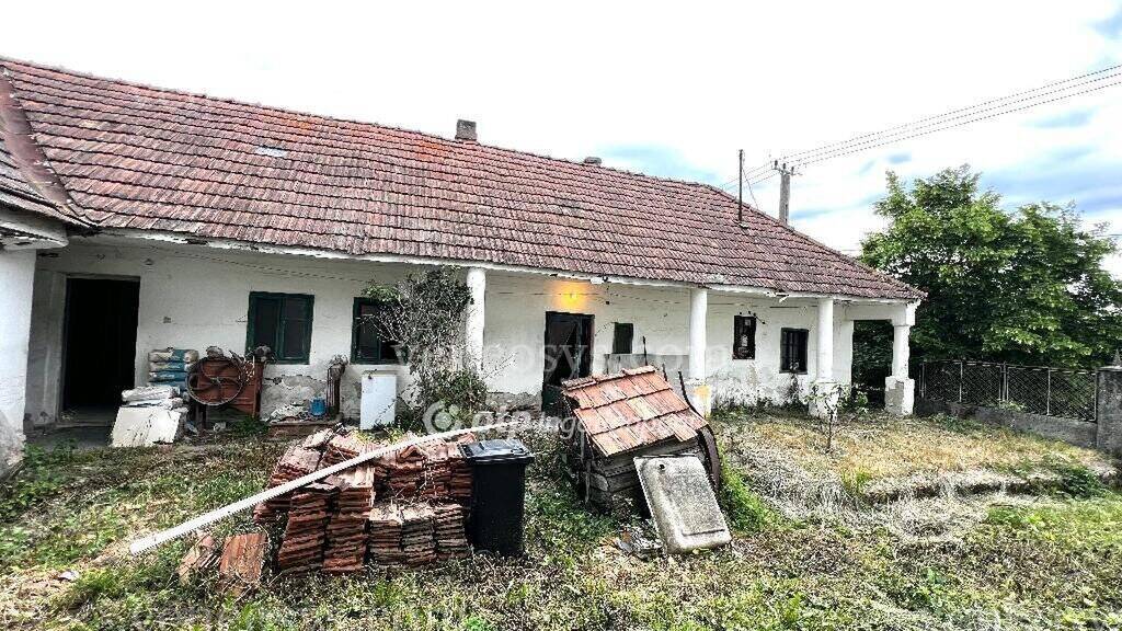 Kép 4