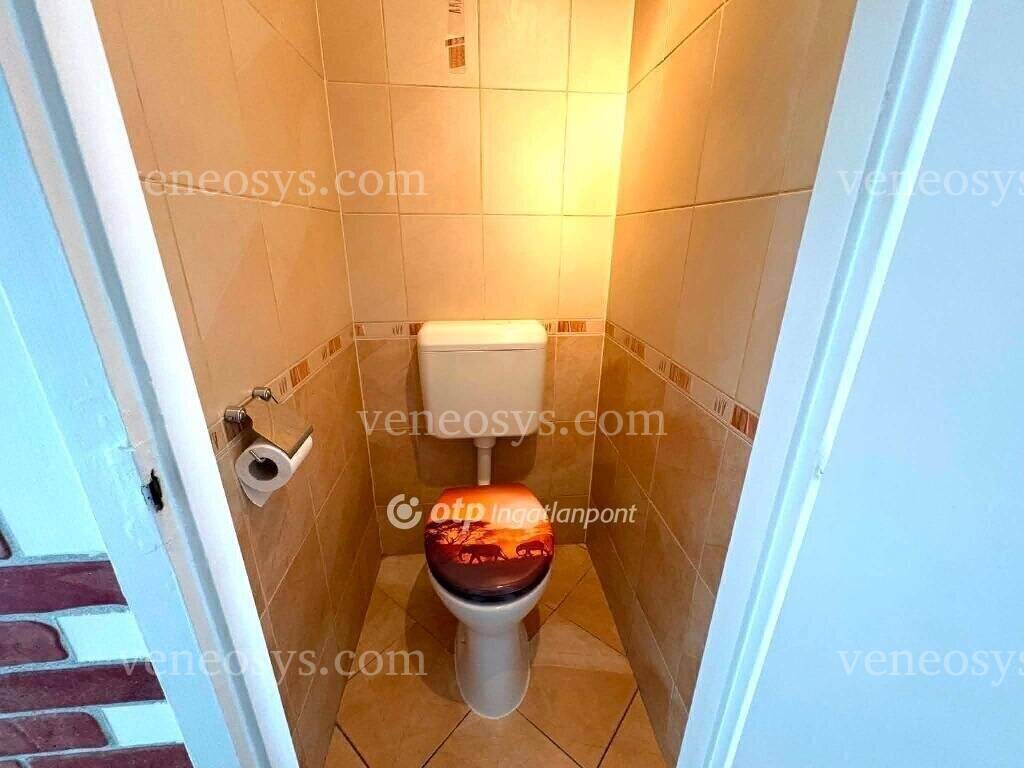 Kép 10