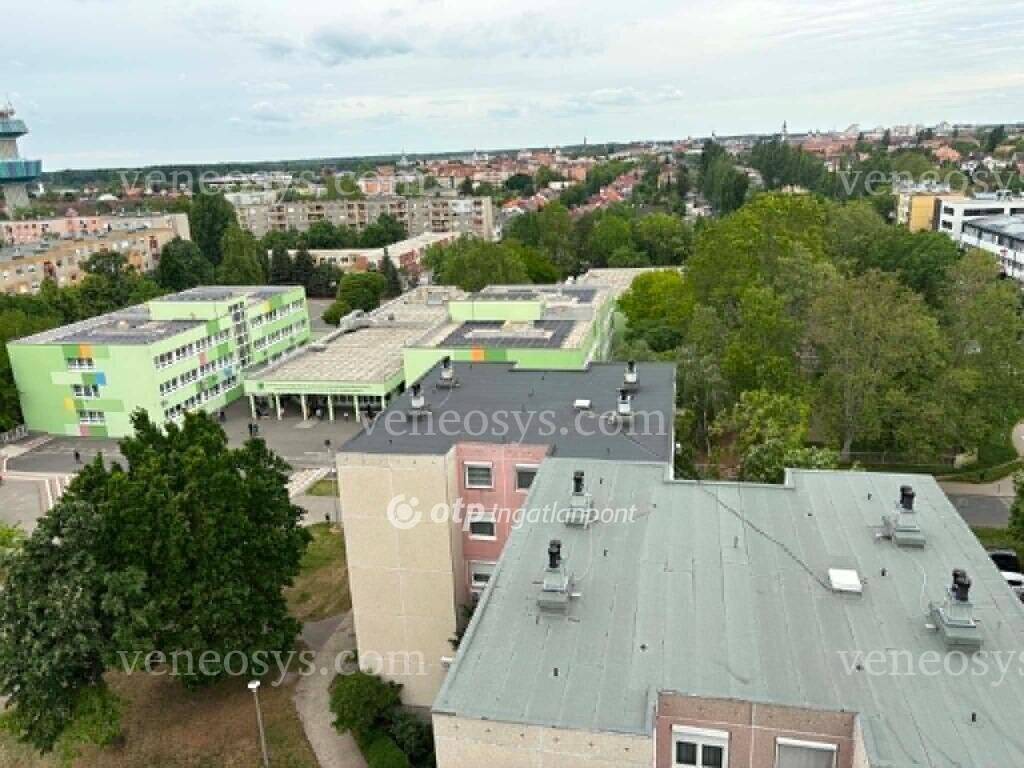 Kép 11